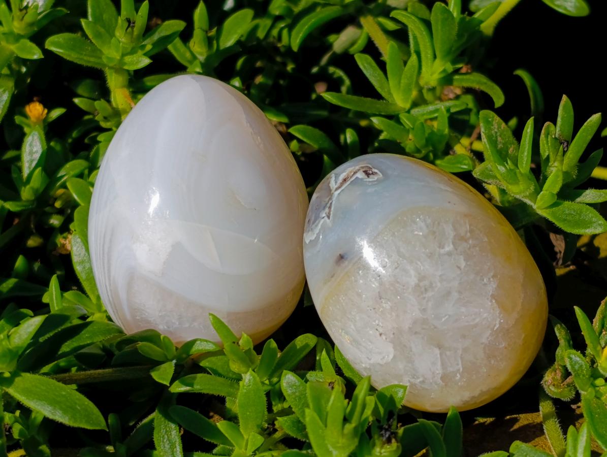 Polished Red Shashe River Agate Eggs x 12 From Shashe River, Zimbabwe