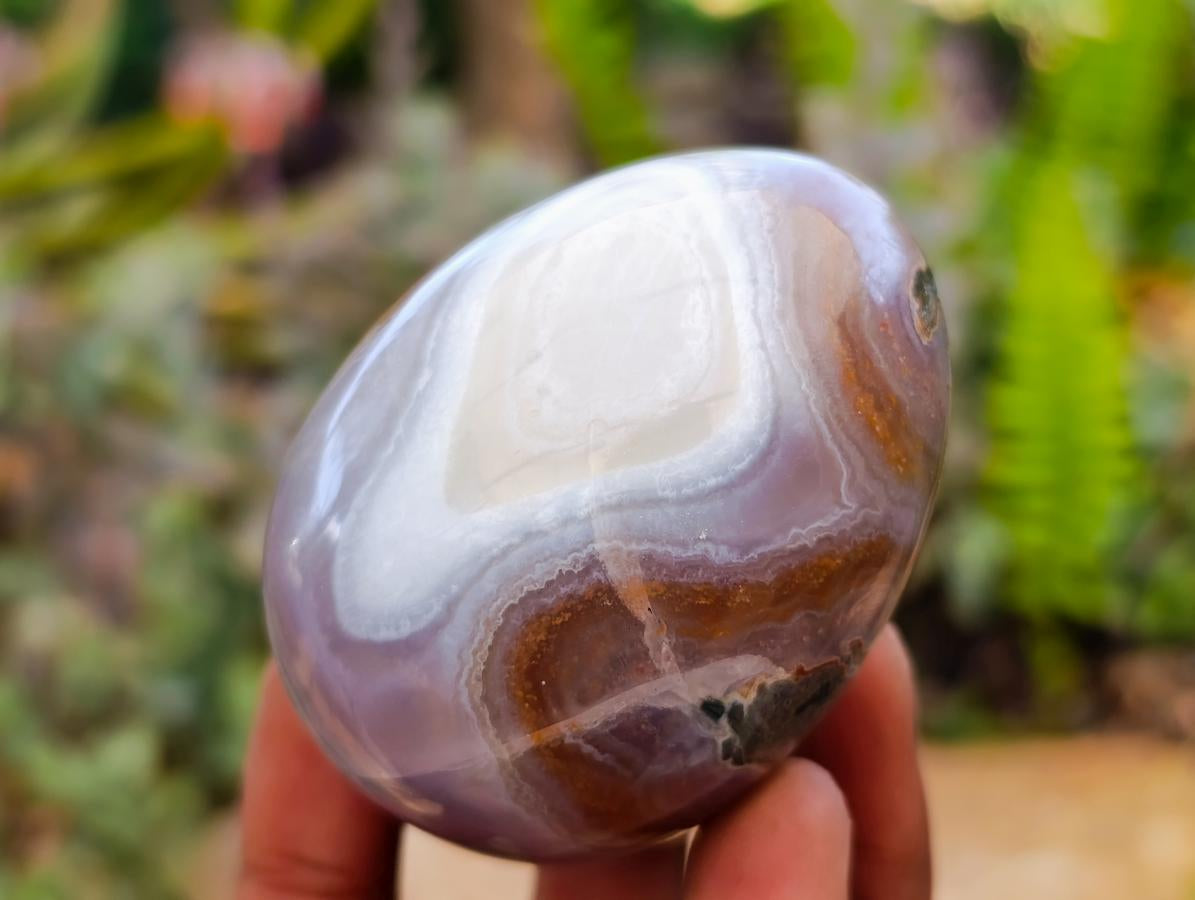 Polished Red Shashe River Agate Eggs x 12 From Shashe River, Zimbabwe