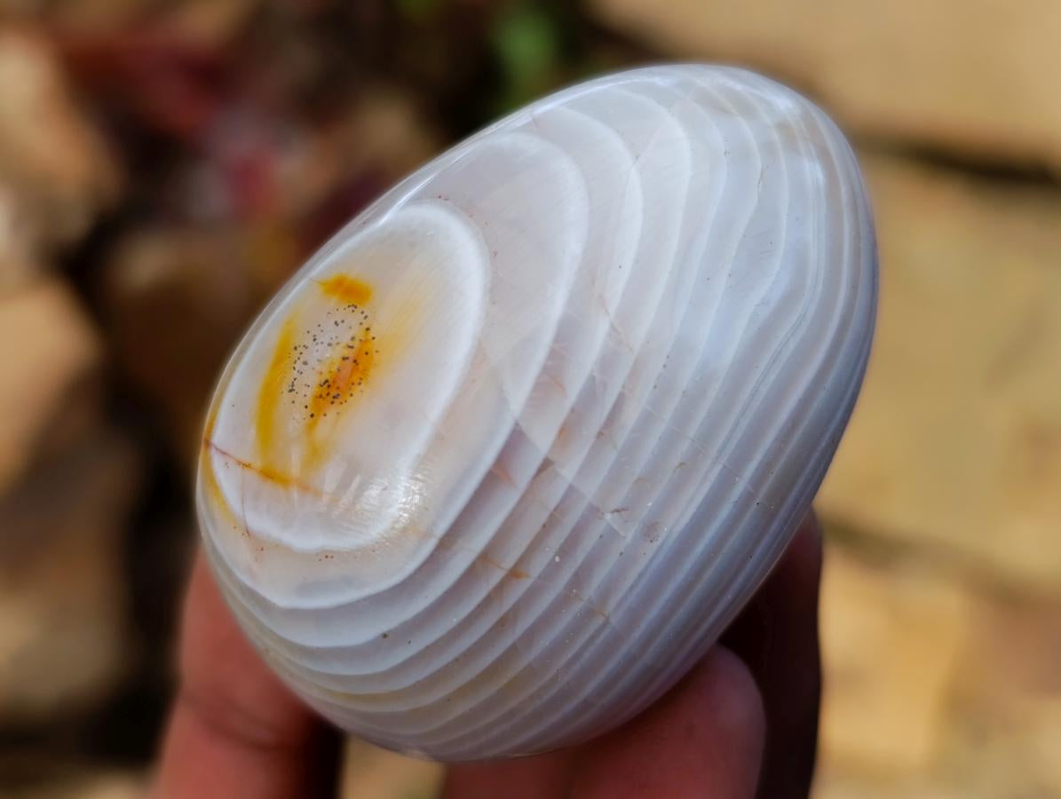 Polished Red Shashe River Agate Eggs x 12 From Shashe River, Zimbabwe