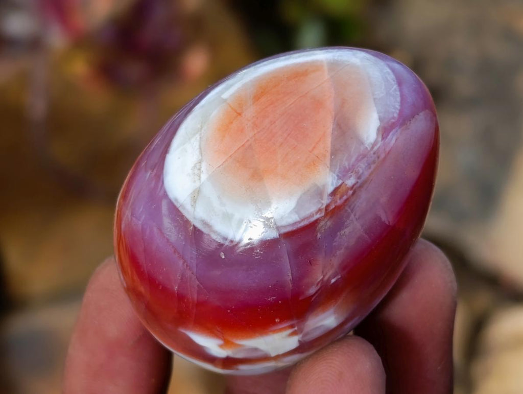 Polished Red Shashe River Agate Eggs x 12 From Shashe River, Zimbabwe