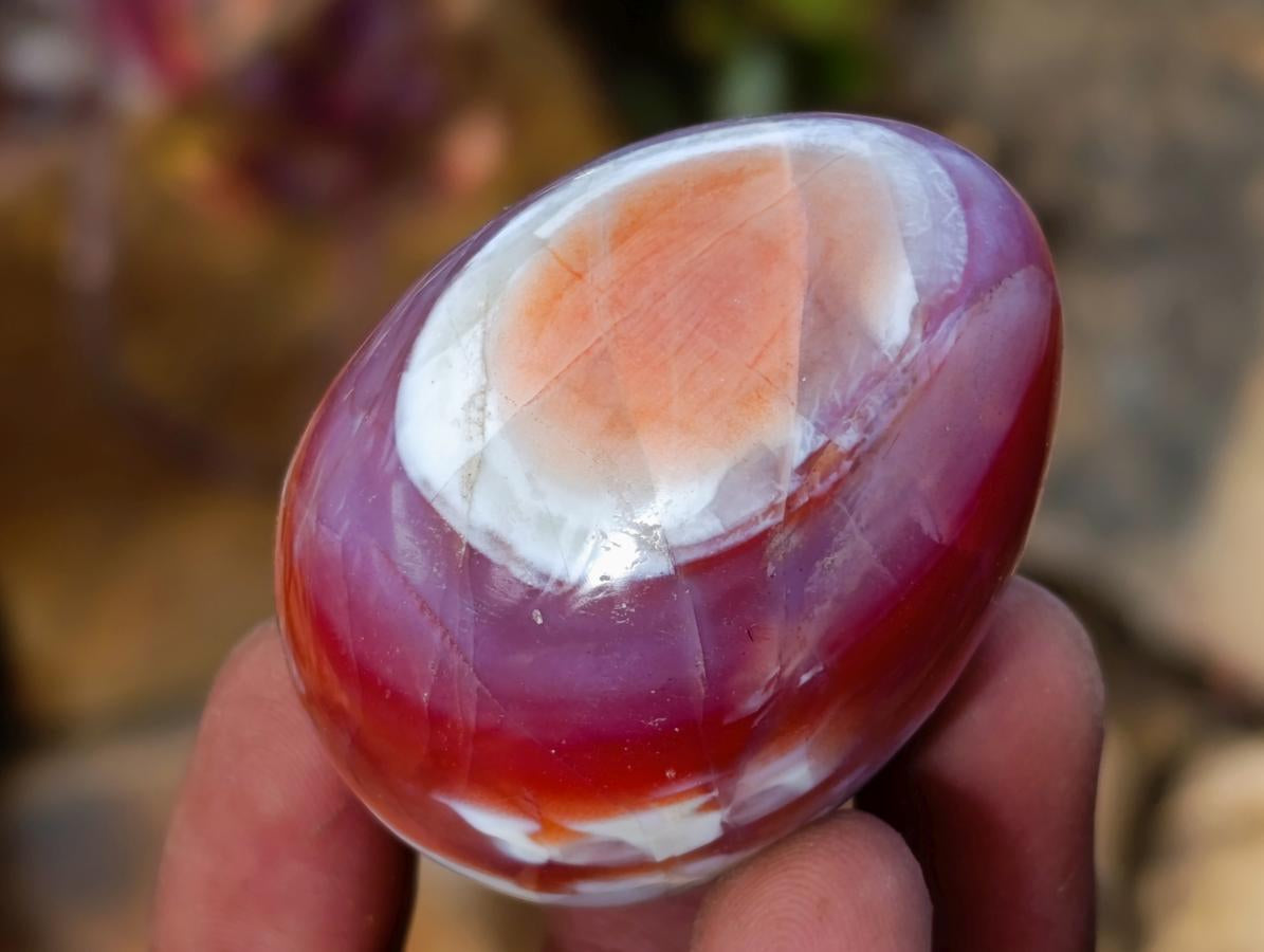 Polished Red Shashe River Agate Eggs x 12 From Shashe River, Zimbabwe