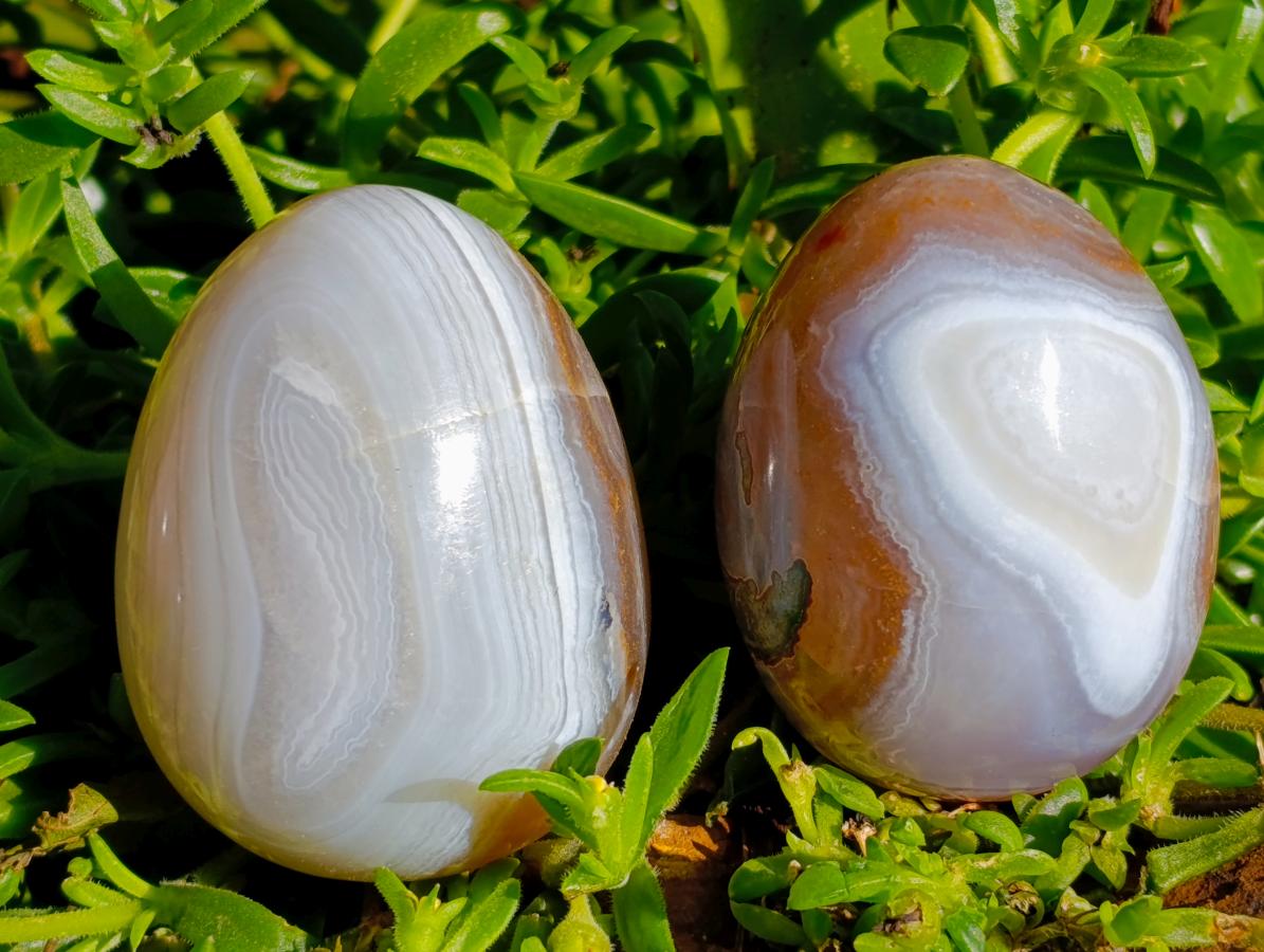 Polished Red Shashe River Agate Eggs x 12 From Shashe River, Zimbabwe