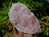 Natural Cobbed Rose Quartz Specimens x 3 From Northern Cape, South Africa