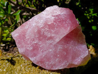Natural Cobbed Rose Quartz Specimens x 3 From Northern Cape, South Africa
