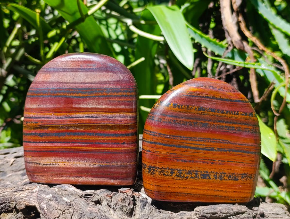 Polished Banded Tiger Iron Standing Free Forms x 4 From South Africa