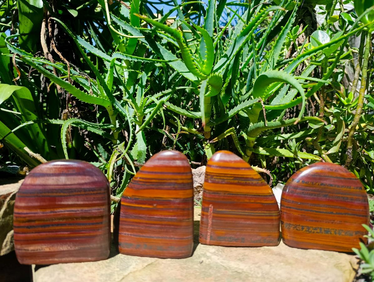 Polished Banded Tiger Iron Standing Free Forms x 4 From South Africa