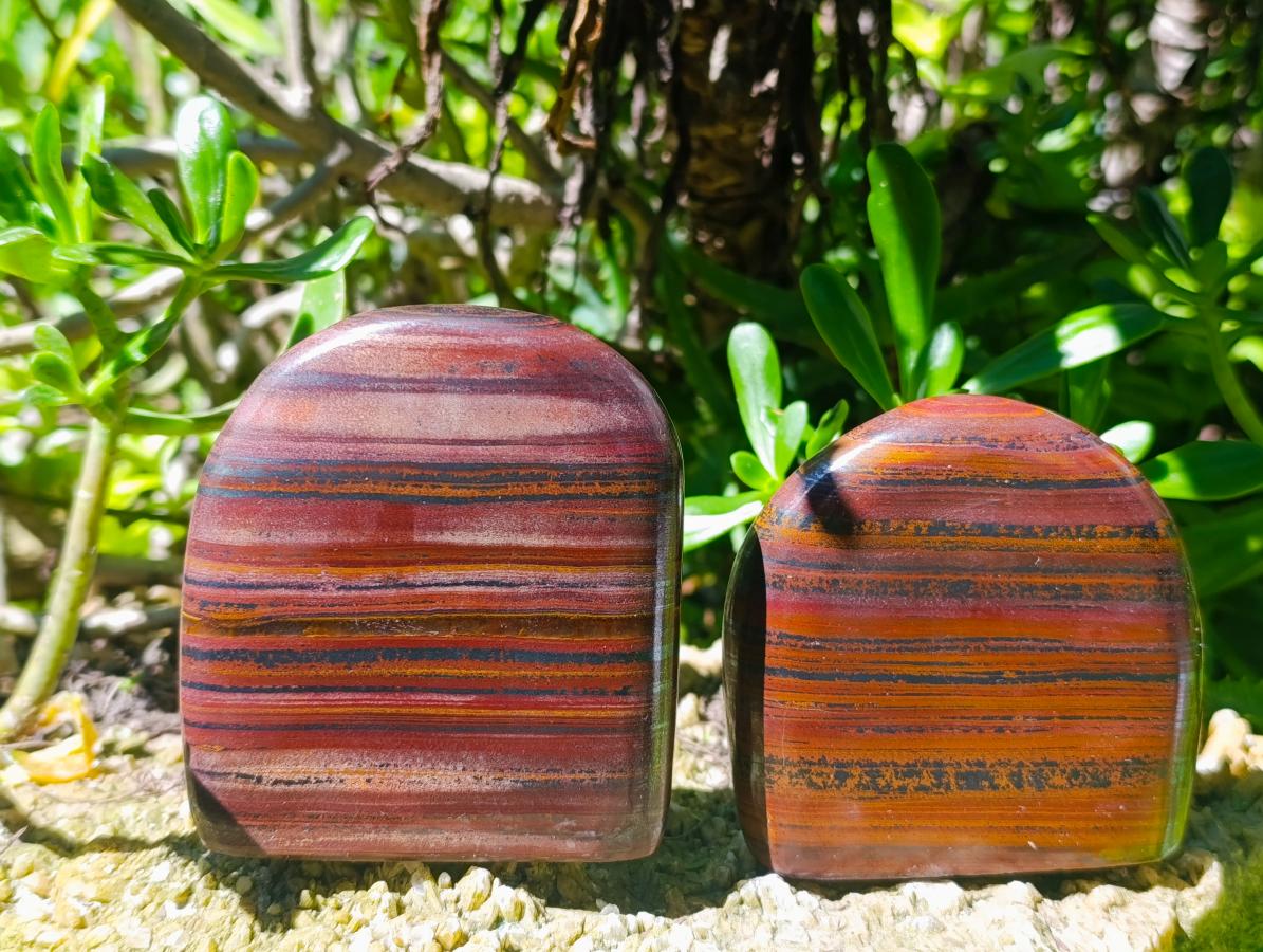 Polished Banded Tiger Iron Standing Free Forms x 4 From South Africa