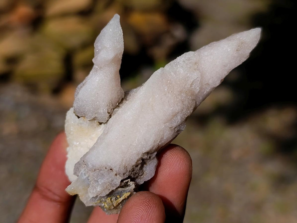 Natural Drusy Quartz Coated Spearhead Calcite Specimens x 16 From Albert's Mountain, Lesotho
