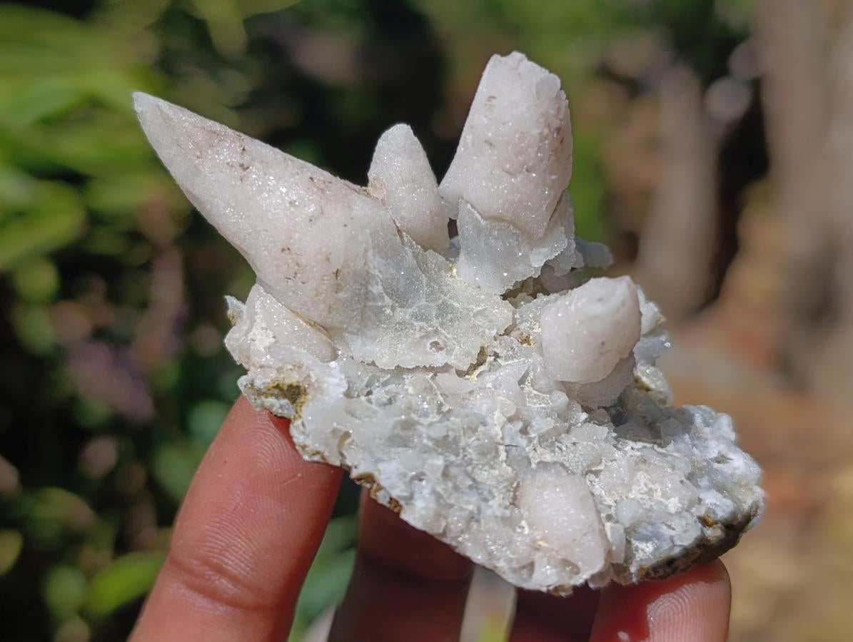 Natural Drusy Quartz Coated Spearhead Calcite Specimens x 16 From Albert's Mountain, Lesotho