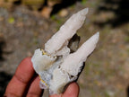 Natural Drusy Quartz Coated Spearhead Calcite Specimens x 16 From Albert's Mountain, Lesotho