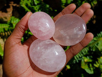 Polished Rose Quartz Palm Stones x 12 From Madagascar