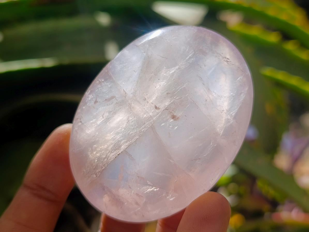 Polished Rose Quartz Palm Stones x 12 From Madagascar