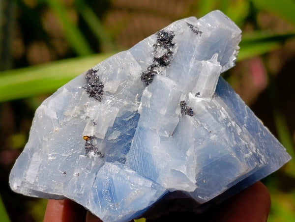 Natural Sky Blue Calcite Specimens x 35 From Namibia
