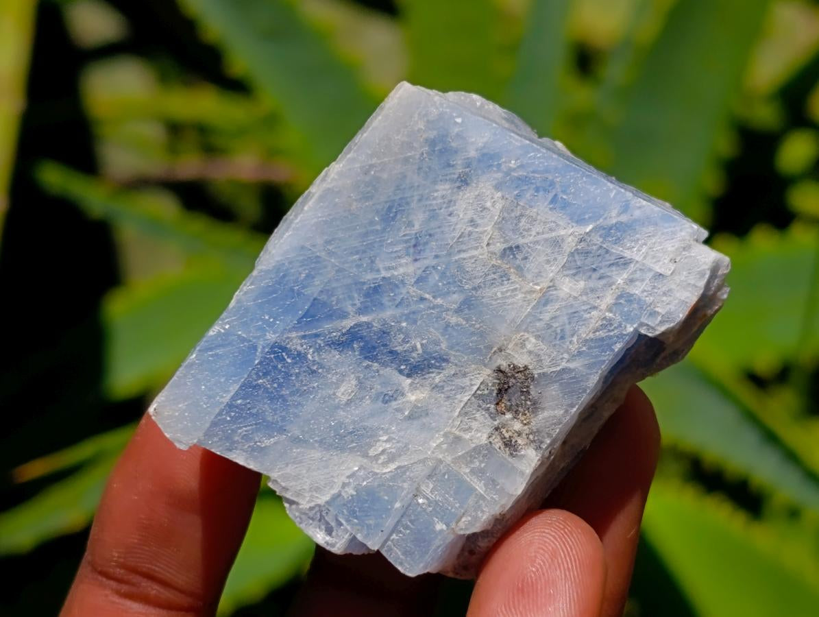 Natural Sky Blue Calcite Specimens x 35 From Namibia - Toprock Gemstones and Minerals 
