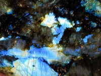 Polished Labradorite Standing Free Forms x 3 From Tulear, Madagascar