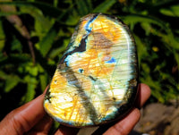 Polished Labradorite Standing Free Forms x 3 From Tulear, Madagascar