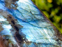 Polished Labradorite Standing Free Forms x 3 From Tulear, Madagascar