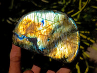 Polished Labradorite Standing Free Forms x 3 From Tulear, Madagascar
