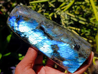 Polished Labradorite Standing Free Forms x 3 From Tulear, Madagascar