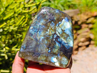 Polished Labradorite Standing Free Forms x 3 From Tulear, Madagascar