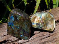 Polished Labradorite Standing Free Forms x 3 From Tulear, Madagascar