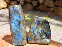 Polished Labradorite Standing Free Forms x 3 From Tulear, Madagascar