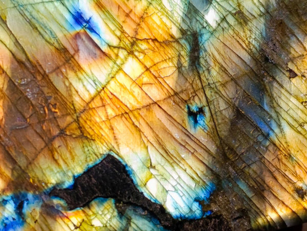 Polished Labradorite Standing Free Forms x 3 From Tulear, Madagascar