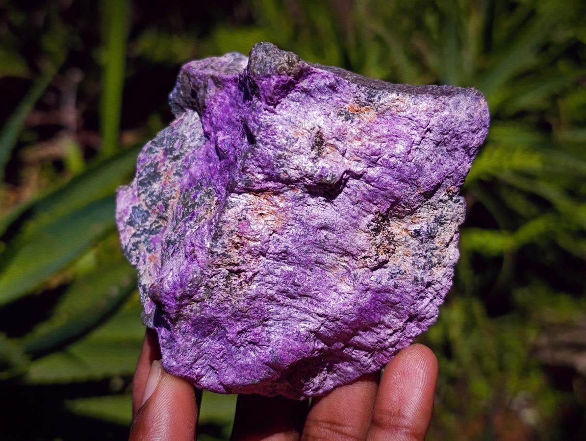 Natural Stichtite Cobbed Specimens x 5 From Barberton, South Africa