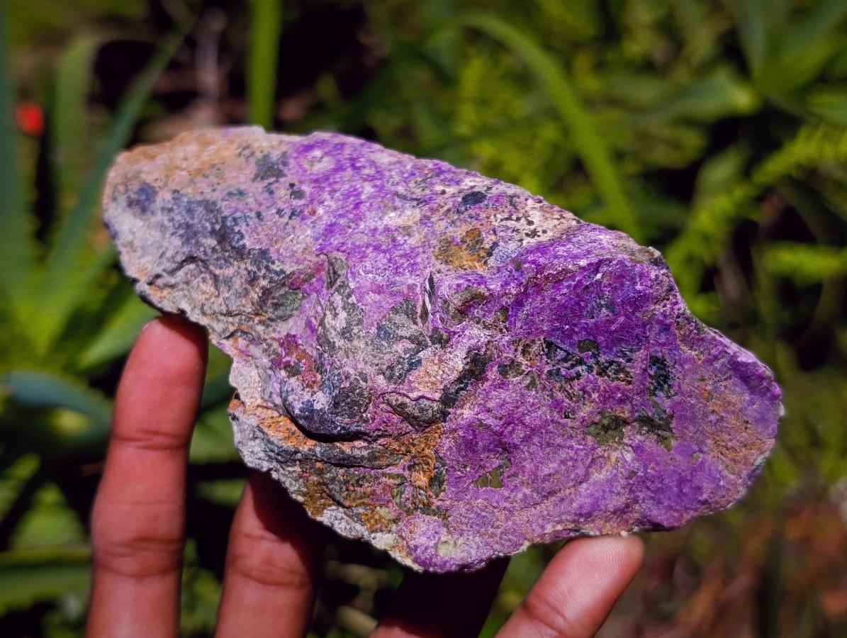 Natural Stichtite Cobbed Specimens x 5 From Barberton, South Africa