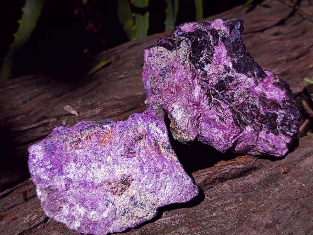 Natural Stichtite Cobbed Specimens x 5 From Barberton, South Africa