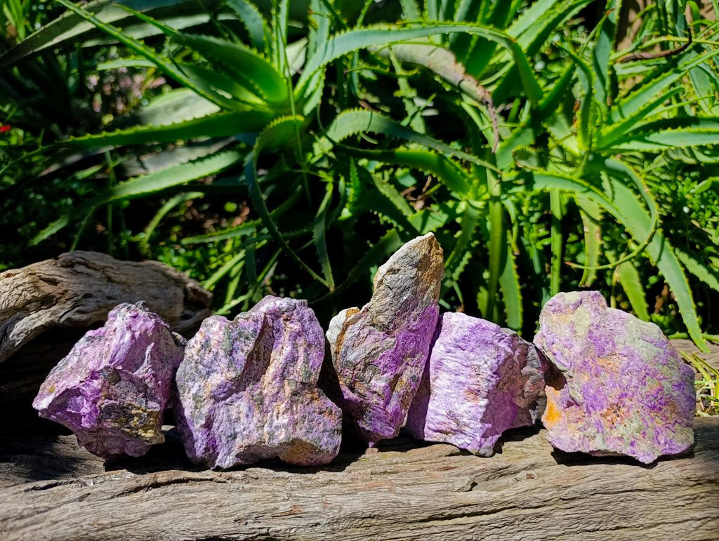 Natural Stichtite Cobbed Specimens x 5 From Barberton, South Africa
