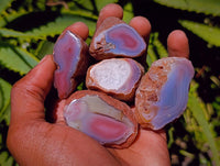 Polished On One Side Red Shashe River Agate Nodules x 27 From Shashe River, Zimbabwe