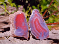 Polished On One Side Red Shashe River Agate Nodules x 27 From Shashe River, Zimbabwe