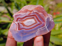 Polished On One Side Red Shashe River Agate Nodules x 27 From Shashe River, Zimbabwe
