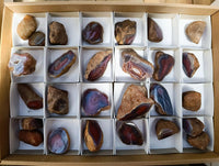 Polished On One Side Red Shashe River Agate Nodules x 27 From Shashe River, Zimbabwe