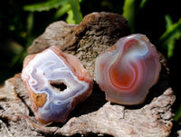 Polished On One Side Red Shashe River Agate Nodules x 27 From Shashe River, Zimbabwe