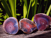 Polished On One Side Red Shashe River Agate Nodules x 27 From Shashe River, Zimbabwe