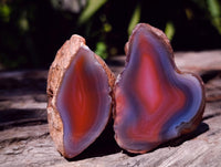 Polished On One Side Red Shashe River Agate Nodules x 27 From Shashe River, Zimbabwe