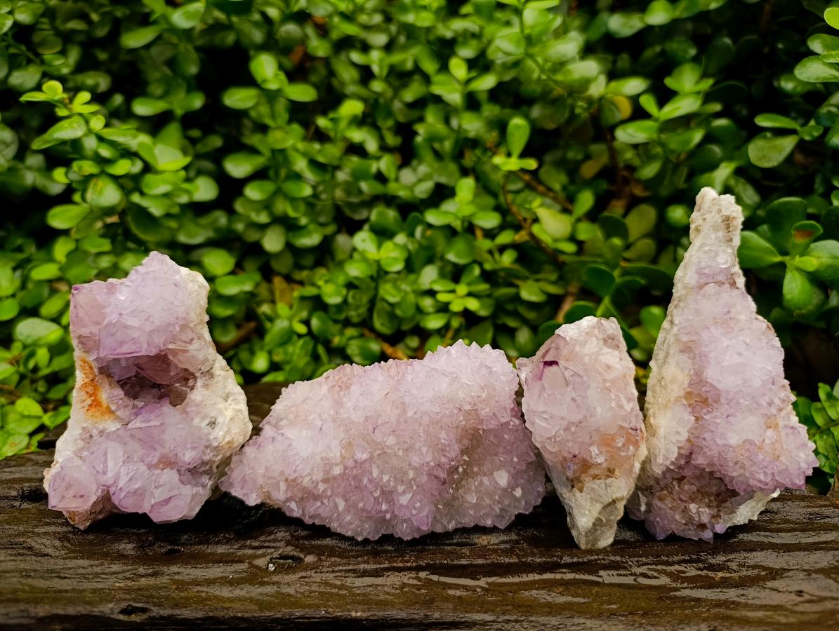 Natural Sunburst Amethyst Spirit Clusters x 4 From Boekenhouthoek, South Africa