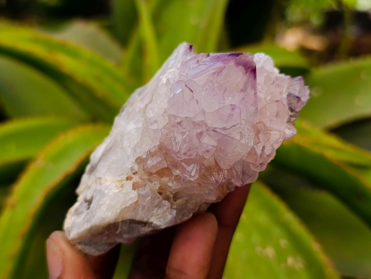 Natural Sunburst Amethyst Spirit Clusters x 4 From Boekenhouthoek, South Africa
