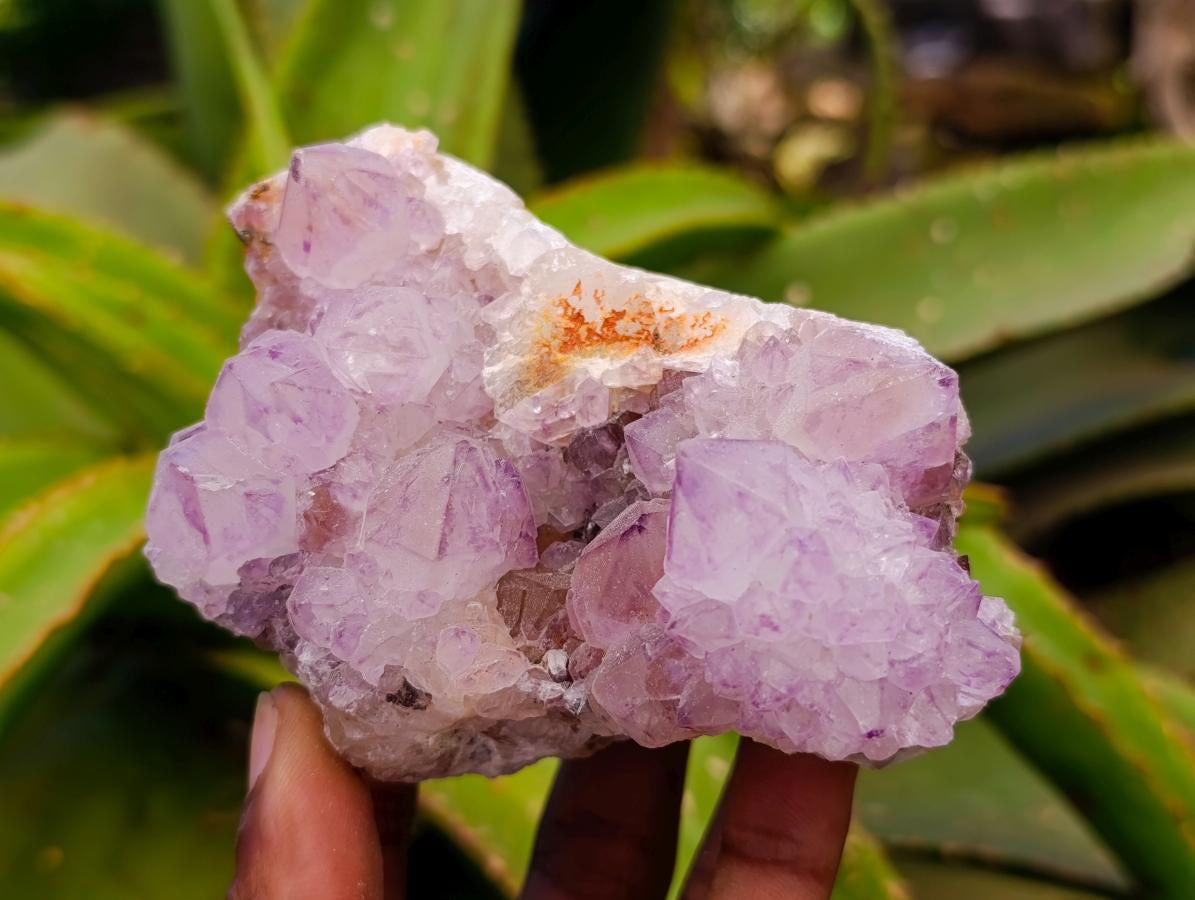 Natural Sunburst Amethyst Spirit Clusters x 4 From Boekenhouthoek, South Africa