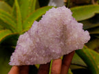 Natural Sunburst Amethyst Spirit Clusters x 4 From Boekenhouthoek, South Africa