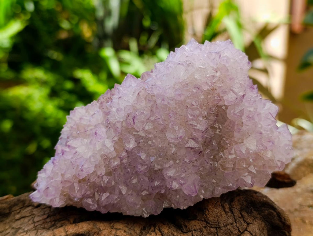 Natural Sunburst Amethyst Spirit Clusters x 4 From Boekenhouthoek, South Africa