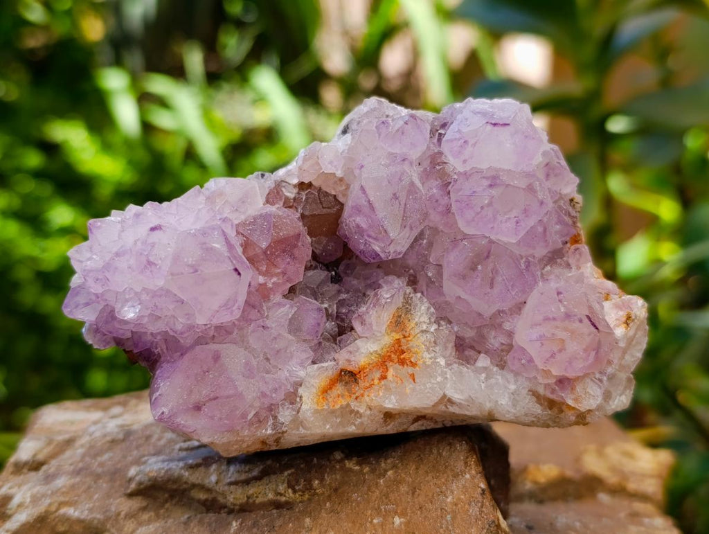 Sunburst Rocks Natural Sunburst Amethyst Spirit Clusters x 4 From Boekenhouthoek, Sou ...