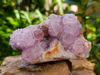 Natural Sunburst Amethyst Spirit Clusters x 4 From Boekenhouthoek, South Africa