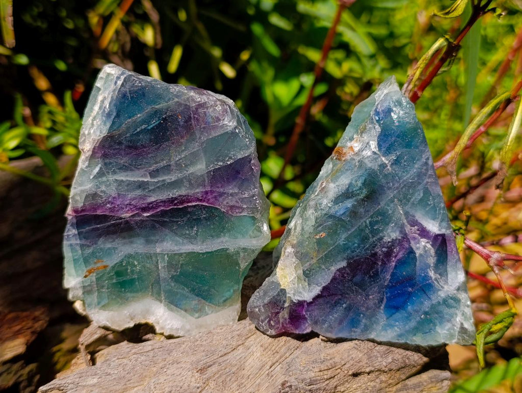 Polished On One Side Watermelon Fluorite Slices x 6 From Uis, Namibia