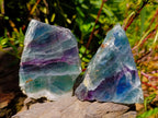 Polished On One Side Watermelon Fluorite Slices x 6 From Uis, Namibia