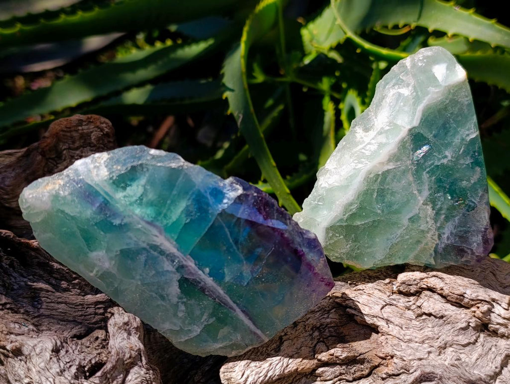 Polished On One Side Watermelon Fluorite Slices x 6 From Uis, Namibia