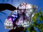 Polished On One Side Watermelon Fluorite Slices x 6 From Uis, Namibia