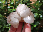 Natural White Quartz Crystal Clusters x 4 From Madagascar